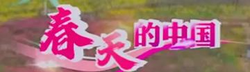 专题专栏